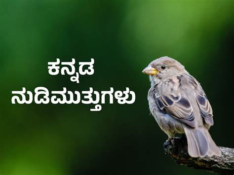 kannada nudimuttugalu about education|Kannada Quotes » ಕನ್ನಡ ನುಡಿಮುತ್ತುಗಳು.